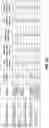 Fig. 19 - Optimization of electrochemical cell