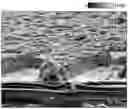 Fig. 01 - PROTECTIVE LAYERS FOR ELECTROCHEMICAL CELLS