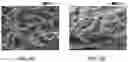 Fig. 11 - PROTECTIVE LAYERS FOR ELECTROCHEMICAL CELLS