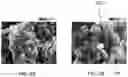 Fig. 12 - PROTECTIVE LAYERS FOR ELECTROCHEMICAL CELLS