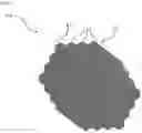 Fig. 23 - Antenna feed for a direct radiating array antenna, radiating panel and antenna comprising several antenna feeds