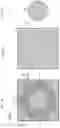 Fig. 16 - Antenna device and electronic apparatus