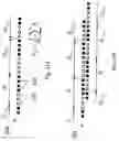 Fig. 12 - Steerable beam antenna