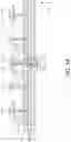 Fig. 19 - Antenna apparatus