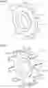 Fig. 13 - Stator and motor comprising said stator