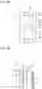 Fig. 16 - Motor and compressor including the same