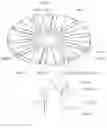 Fig. 06 - Motor