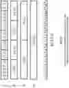 Fig. 06 - CSI-based precoding in search space subset