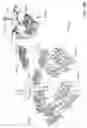 Fig. 31 - Generating a three-dimensional cityscape including a cluster of nodes