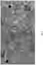 Fig. 06 - Systems and methods for building wireless mesh networks