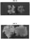 Fig. 13 - Light source for plant cultivation
