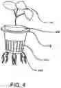 Fig. 05 - HYDROPONIC PLANT CULTIVATING SYSTEM