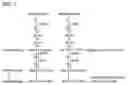 Fig. 03 - Haploid induction compositions and methods for use therefor