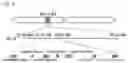 Fig. 04 - Haploid induction compositions and methods for use therefor