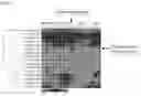Fig. 16 - Haploid induction compositions and methods for use therefor