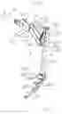 Fig. 03 - Apparatus for Assisting the Forward Movement of Livestock