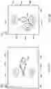 Fig. 03 - Self-calibrating ultrasonic removal of ectoparasites from fish