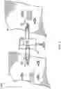 Fig. 04 - Self-calibrating ultrasonic removal of ectoparasites from fish