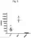 Fig. 06 - IMMUNODEFICIENT RODENT
