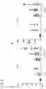 Fig. 09 - IMMUNODEFICIENT RODENT