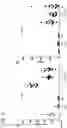 Fig. 11 - IMMUNODEFICIENT RODENT