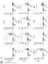 Fig. 14 - IMMUNODEFICIENT RODENT