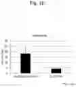 Fig. 21 - IMMUNODEFICIENT RODENT
