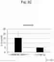 Fig. 22 - IMMUNODEFICIENT RODENT