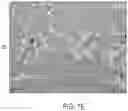 Fig. 16 - SYSTEMS AND METHODS FOR PERFUSING A HUMAN PLACENTA-BASED MRI PHANTOM