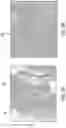 Fig. 18 - SYSTEMS AND METHODS FOR PERFUSING A HUMAN PLACENTA-BASED MRI PHANTOM