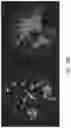 Fig. 25 - SYSTEMS AND METHODS FOR PERFUSING A HUMAN PLACENTA-BASED MRI PHANTOM