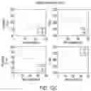 Fig. 26 - SYSTEMS AND METHODS FOR PERFUSING A HUMAN PLACENTA-BASED MRI PHANTOM