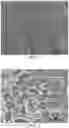 Fig. 02 - THAWING FLUID, PREPARATION METHOD THEREFOR AND USE THEREOF