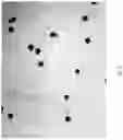 Fig. 16 - Pollen preservation and storage method