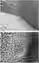 Fig. 01 - HIGH SPREADING ULV FORMULATIONS FOR HERBICIDES