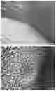 Fig. 02 - HIGH SPREADING ULV FORMULATIONS FOR HERBICIDES