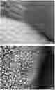Fig. 01 - HIGH SPREADING ULV FORMULATIONS FOR FUNGICIDES