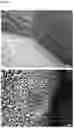 Fig. 02 - HIGH SPREADING ULV FORMULATIONS FOR FUNGICIDES