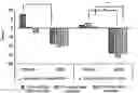 Fig. 01 - Method for Enhancing Athletic Abilities