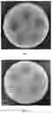 Fig. 04 - PROBIOTIC FOR INHIBITING GROWTH OF PROTEUS MIRABILIS, AND FERMENTATION BROTH AND APPLICATION THEREOF