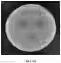 Fig. 07 - PROBIOTIC FOR INHIBITING GROWTH OF PROTEUS MIRABILIS, AND FERMENTATION BROTH AND APPLICATION THEREOF