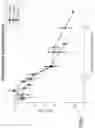 Fig. 13 - SMOKING SUBSTITUTE APPARATUS