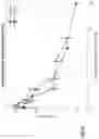 Fig. 19 - SMOKING SUBSTITUTE APPARATUS