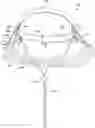 Fig. 01 - ADJUSTABLE BRIM FOR A HAT