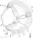 Fig. 03 - ADJUSTABLE BRIM FOR A HAT