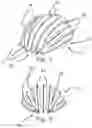 Fig. 02 - Inflatable helmet