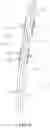Fig. 09 - Bath scrubber with handle