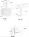 Fig. 17 - ANALYTE SENSORS FOR SENSING GLUTAMATE AND METHODS OF USING THE SAME