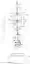 Fig. 01 - DEVICE FOR CLEANING A SET OF TEETH AND CLEANING MEMBER FOR USE THEREIN
