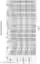 Fig. 12 - MOTILE CELL SORTING DEVICE